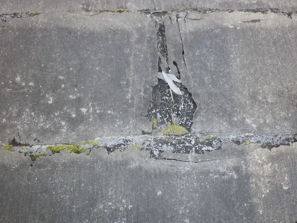 上田市　雨漏り