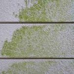 長野県　上田市　外壁塗装　屋根塗装　カビ