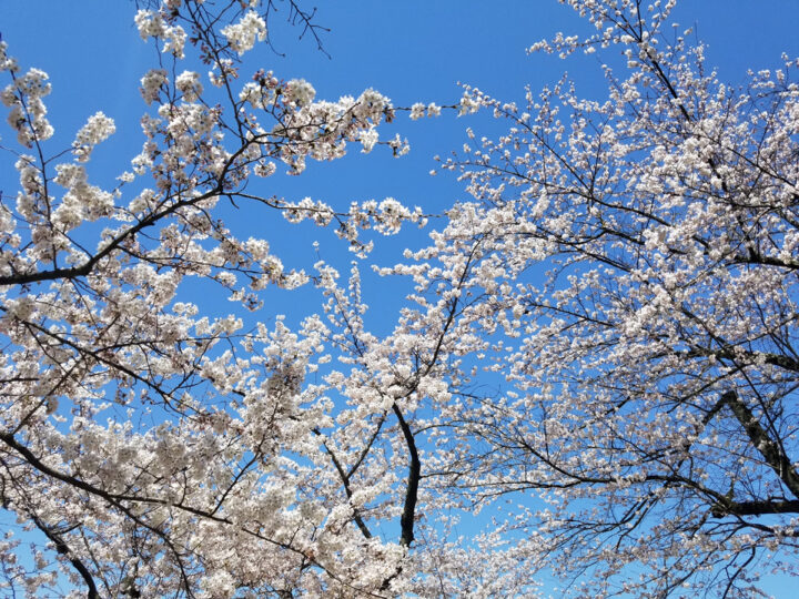 長野県　上田市　外壁塗装　屋根塗装