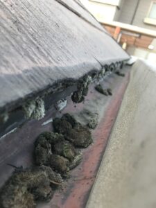 長野県　上田市　外壁塗装　屋根塗装　雨漏り