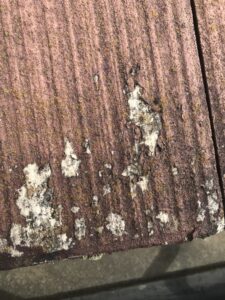 長野県　上田市　外壁塗装　屋根塗装　雨漏り　リフォーム