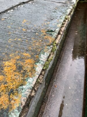 スレート屋根の塗膜の剥離