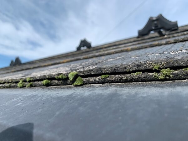 屋根材の苔の発生