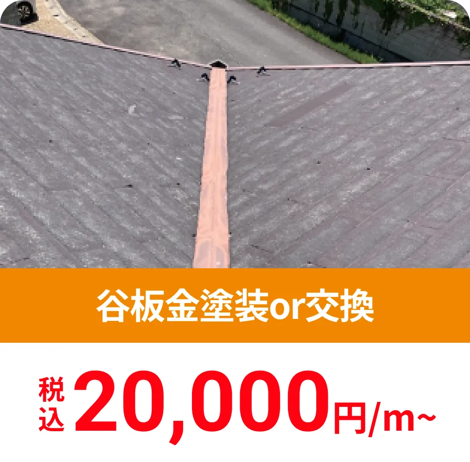 谷板金塗装or交換